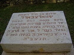 שוורצבארד ופטליורה