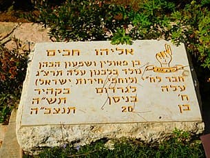 לורד מוין