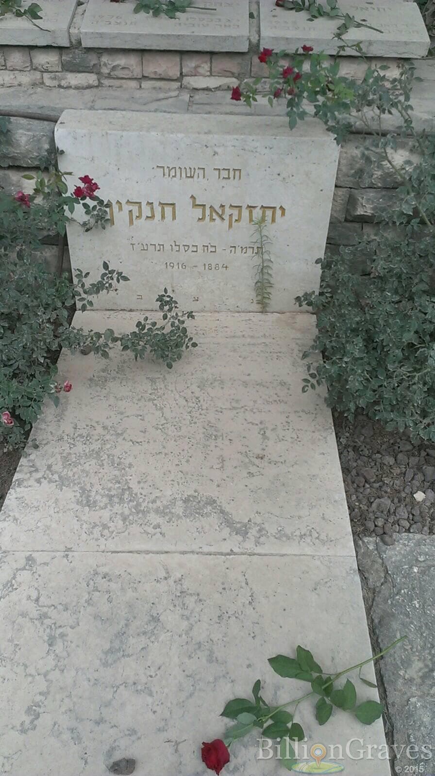 הקבוצה ההומלית